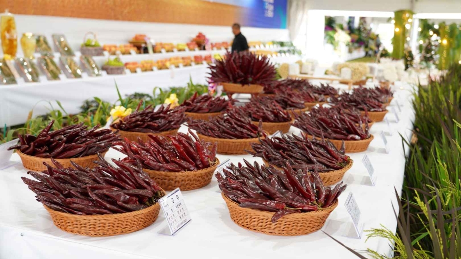 음성명작페스티벌 이미지 7