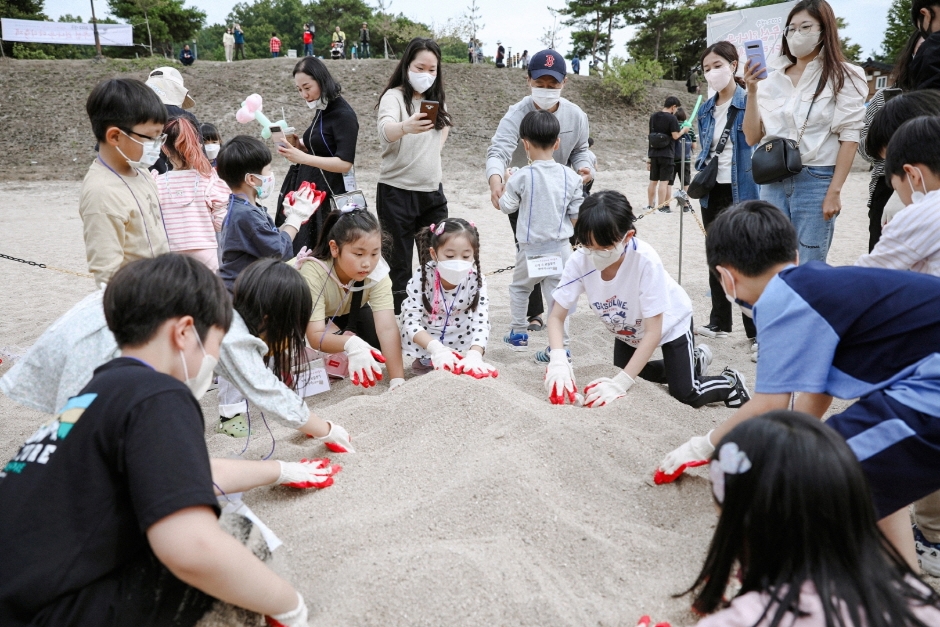 영주 무섬외나무다리축제 이미지 6