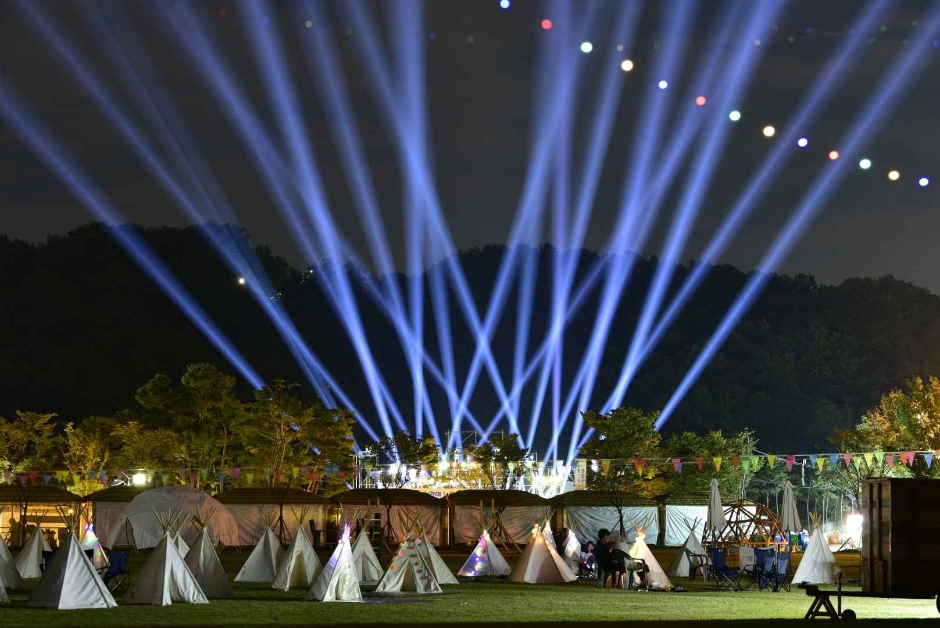 함양산삼축제 이미지 5