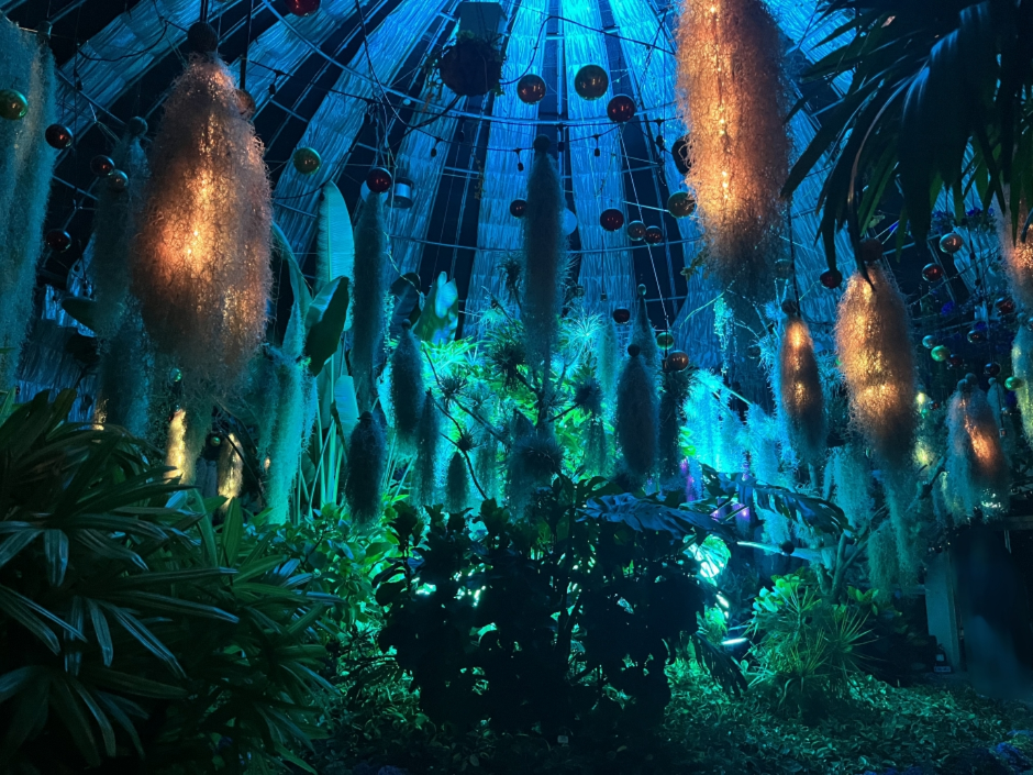 경남고성공룡세계엑스포 이미지 2