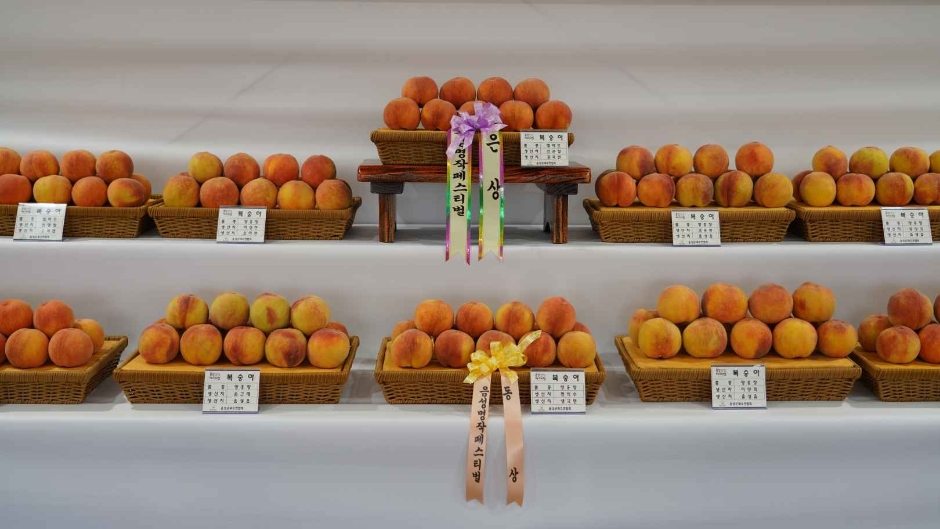 음성명작페스티벌 이미지 6