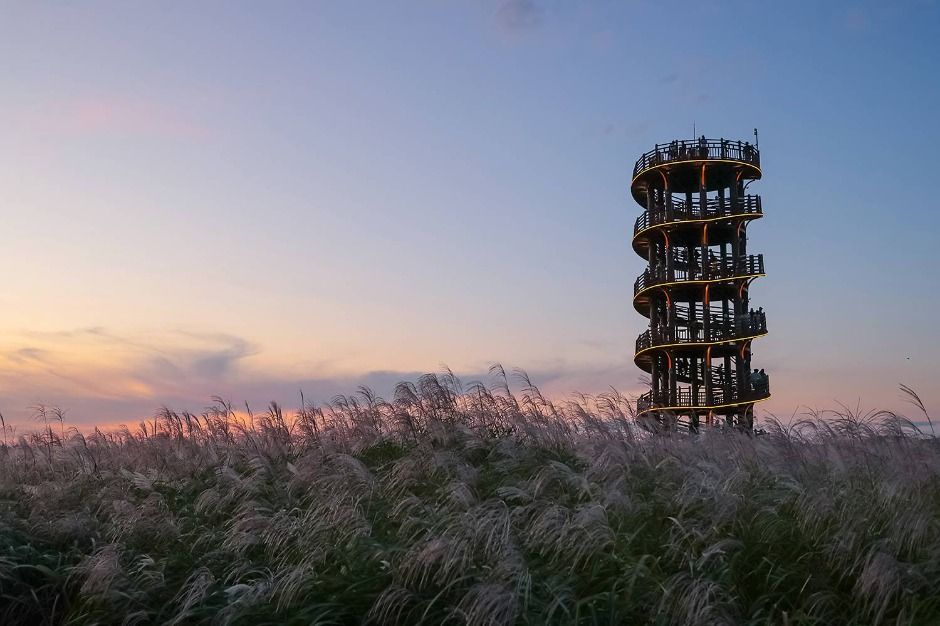시흥갯골축제 이미지 4