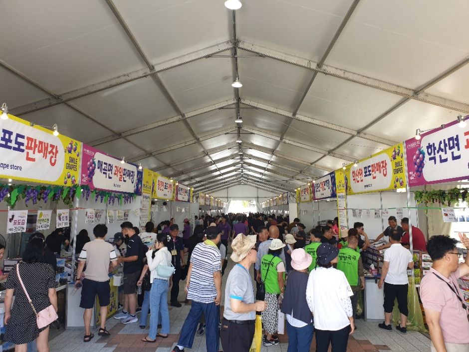 영동포도축제 이미지 3