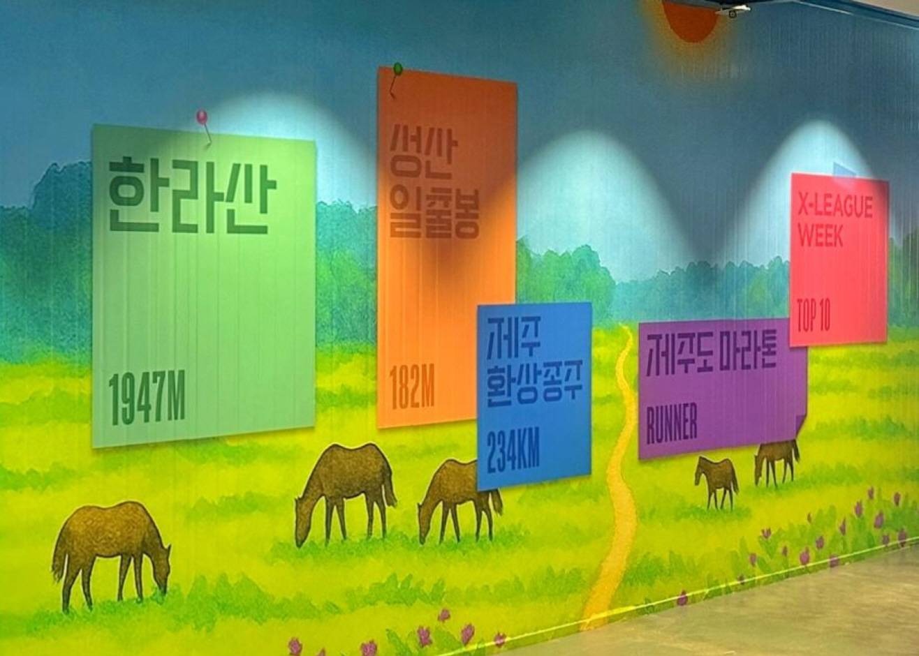 9.81파크 <그래비티 퀘스트 제주> 이미지 1