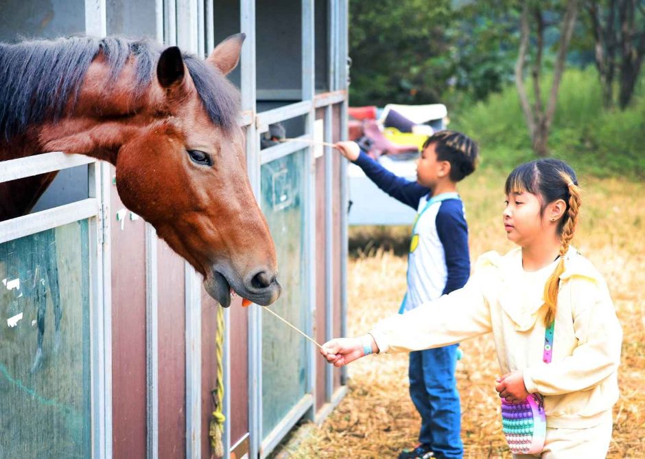 완주 와일드&로컬푸드축제 이미지 3