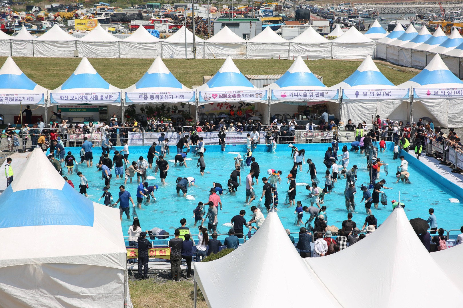 서천 자연산 광어 도미 축제 이미지 5