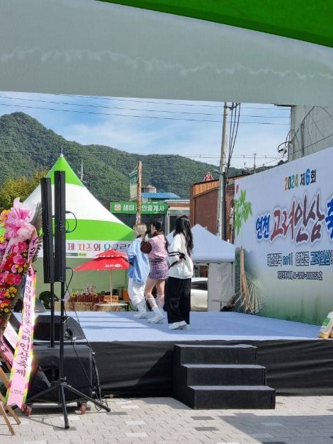 연천고려인삼축제 이미지 6