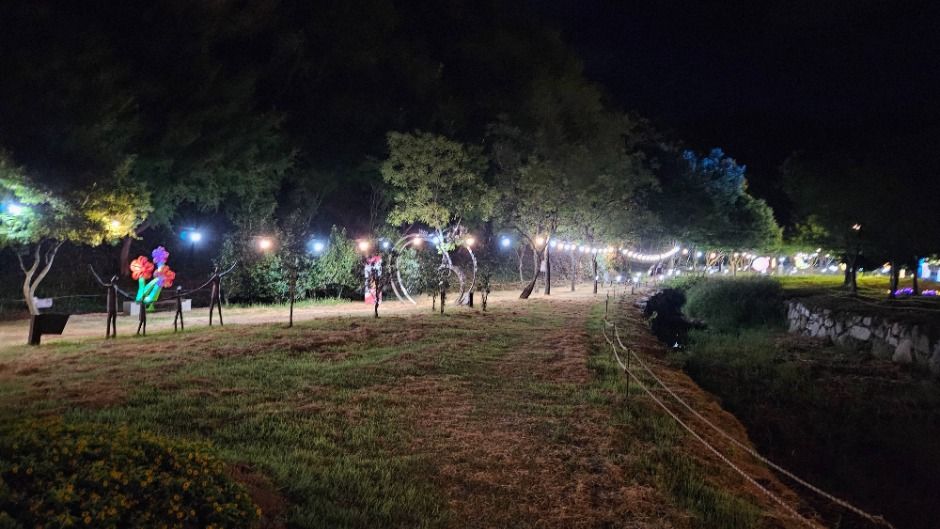 영광불갑산상사화축제 이미지 3