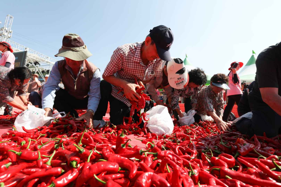 청양 고추 구기자 축제 이미지 2