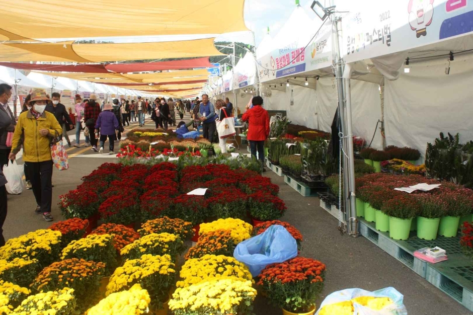 음성명작페스티벌 이미지 5