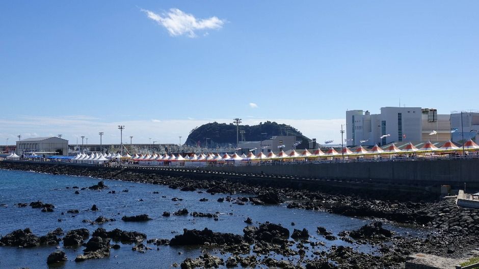 서귀포은갈치축제 이미지 7