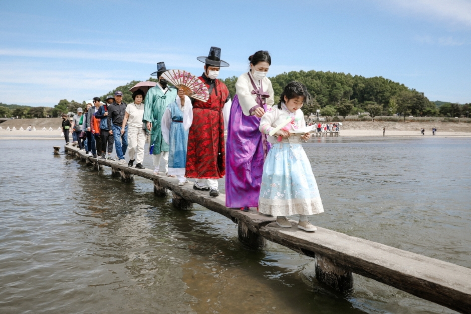 영주 무섬외나무다리축제 이미지 5