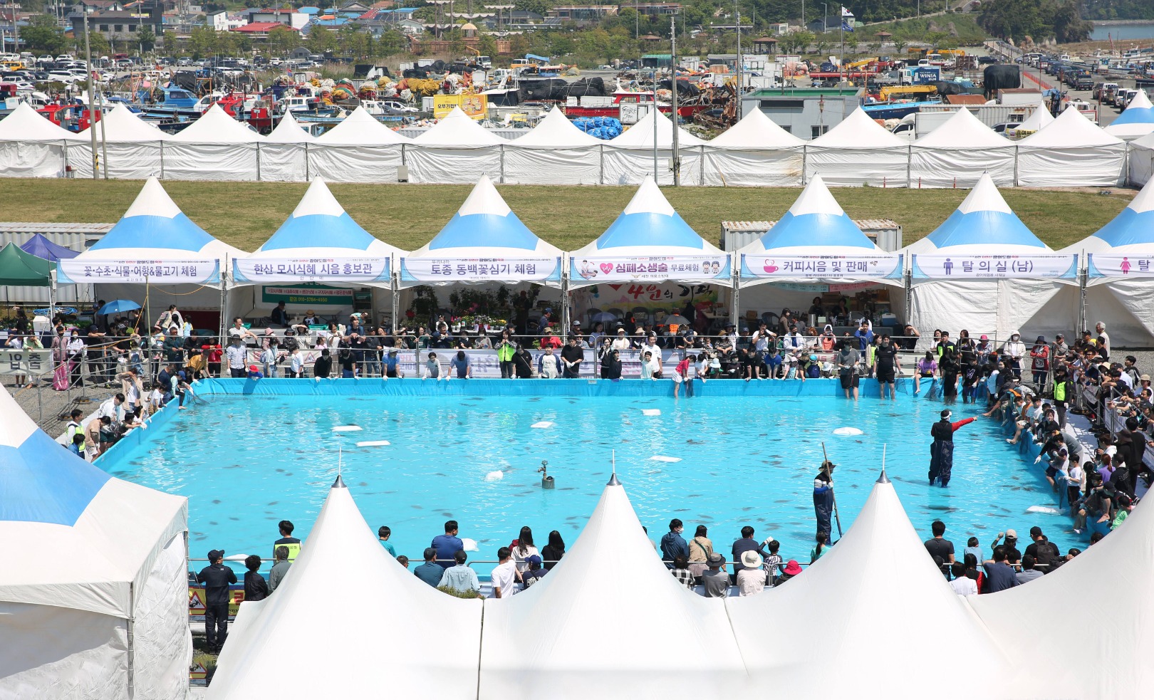 서천 자연산 광어 도미 축제 이미지 1