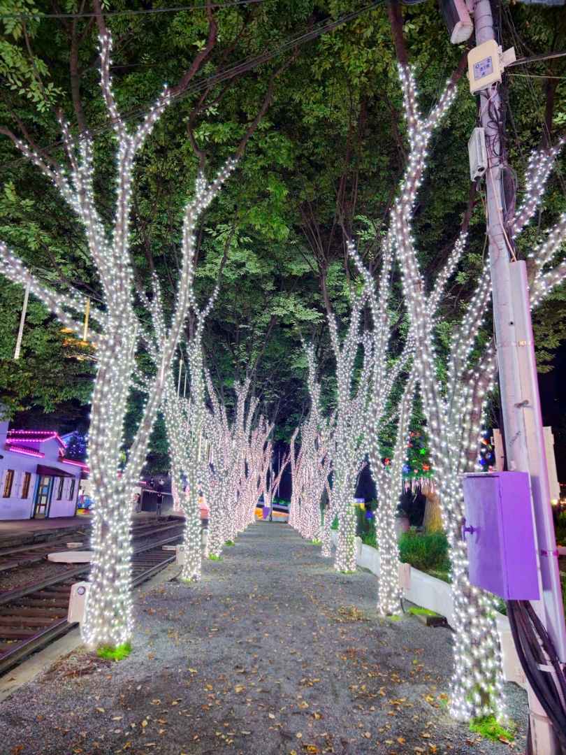 청도 프로방스 빛축제 이미지 6