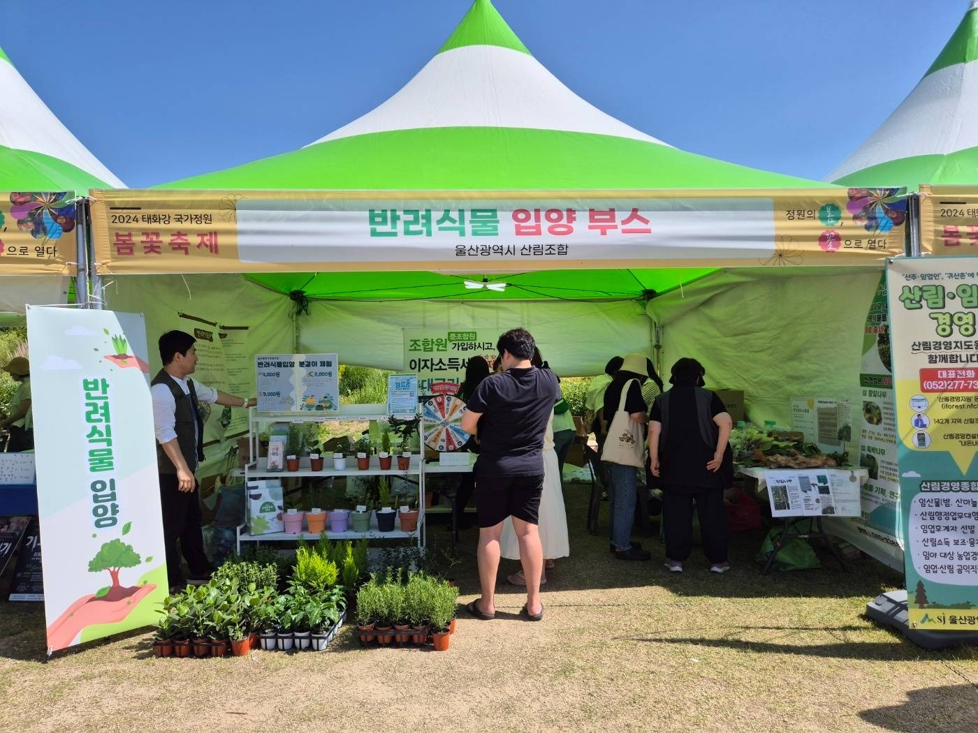 태화강 국가정원 봄꽃축제 이미지 5