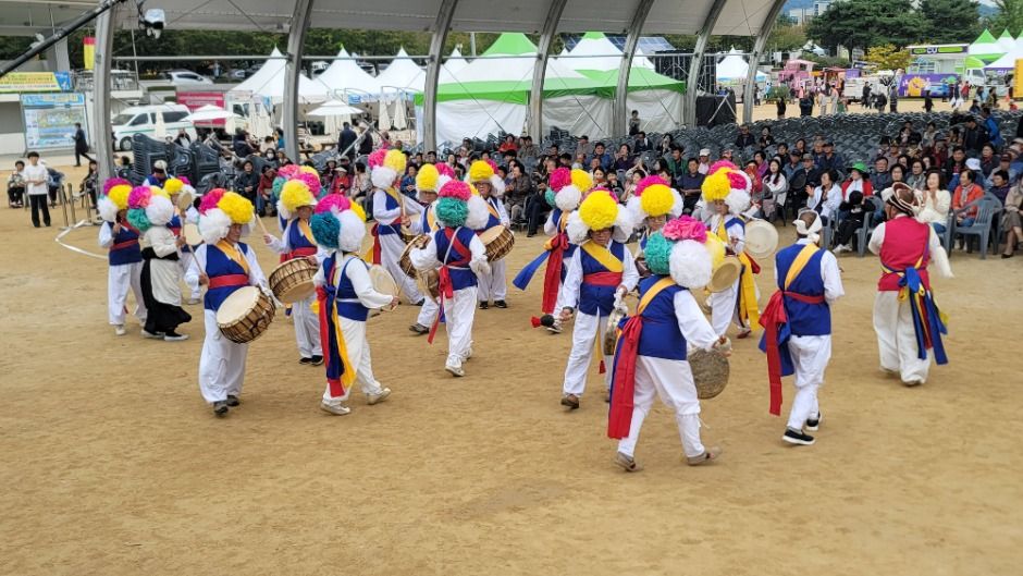증평인삼골축제 이미지 4