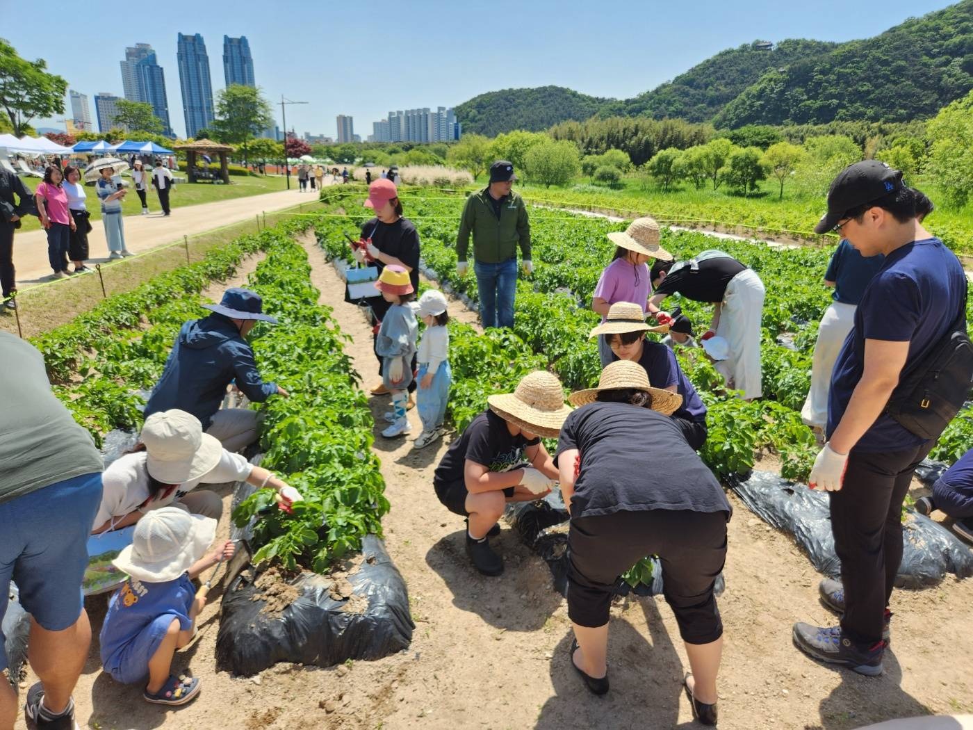 태화강 국가정원 봄꽃축제 이미지 3