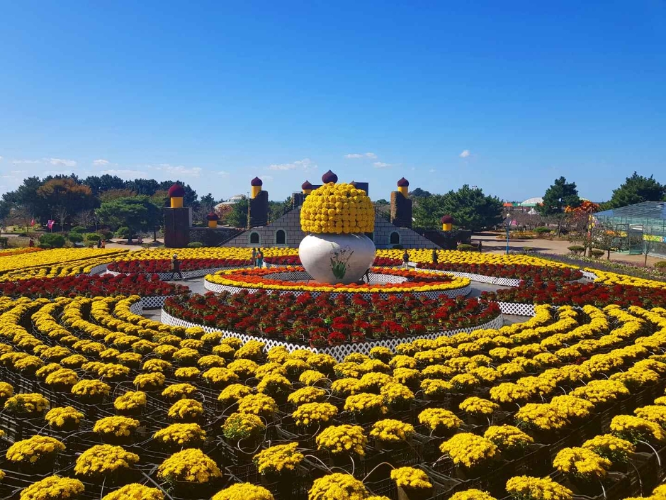 태안 가을꽃박람회 이미지 1