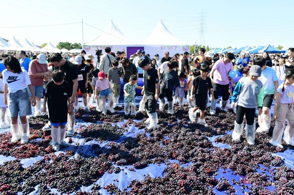 안산 대부포도축제 이미지 2