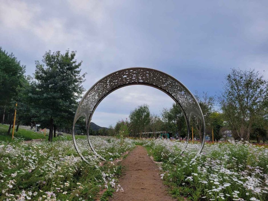 Colorful Garden 자라섬 꽃 페스타 이미지 5