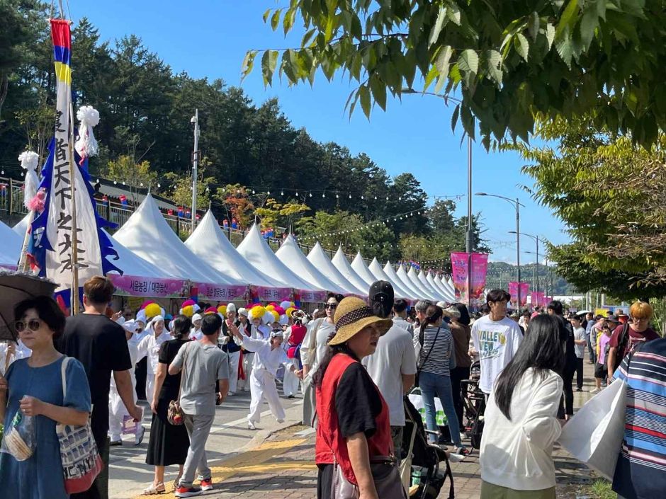 청원생명축제 이미지 5