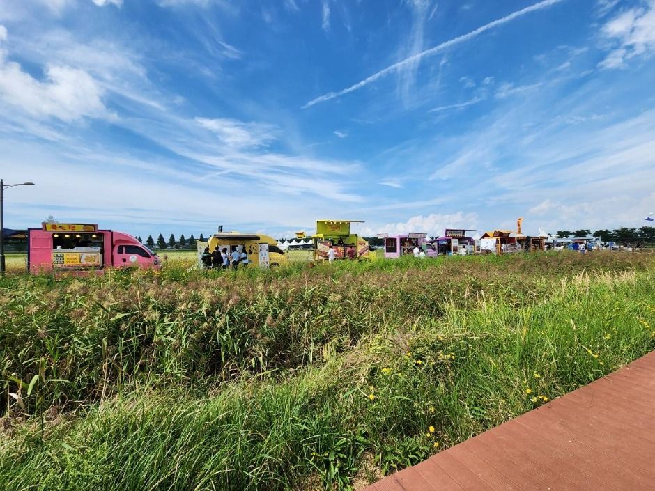 안산 대부포도축제 이미지 3