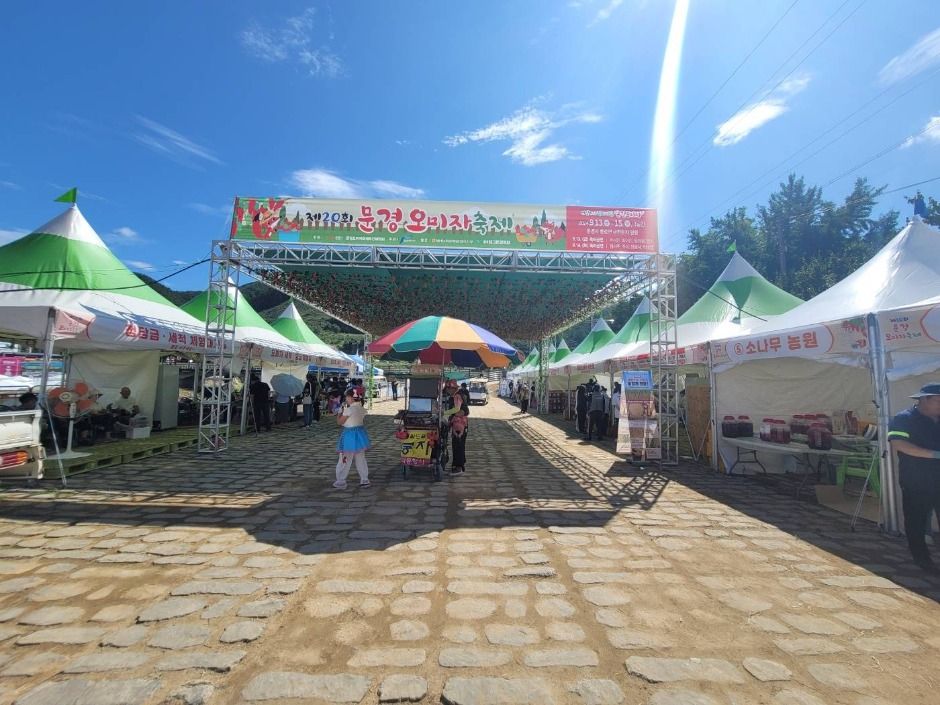 문경오미자축제 이미지 5