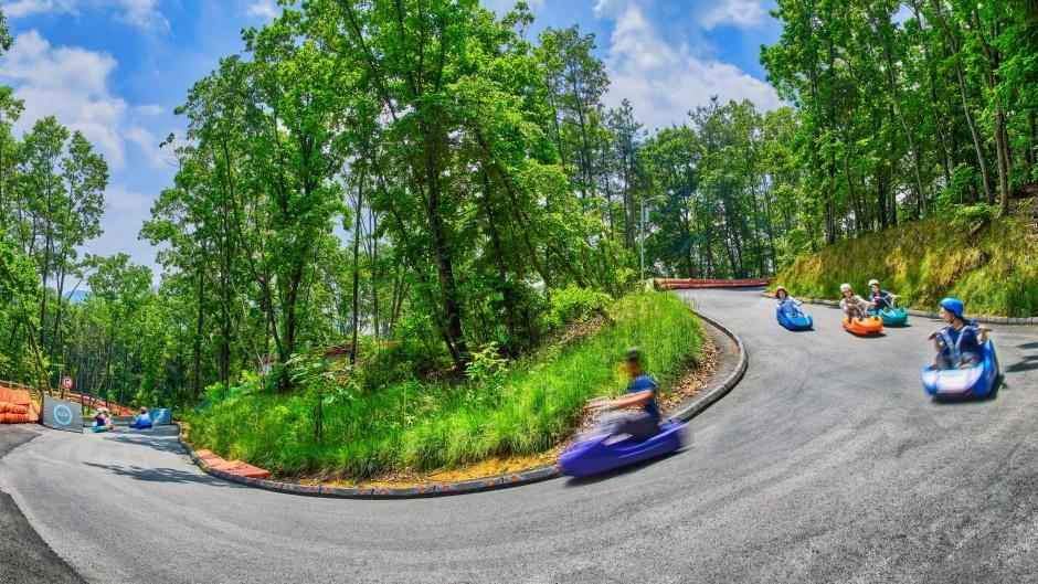 블랙스톤벨포레리조트익스트림루지 이미지 3