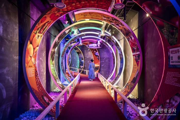 영동 와인터널 이미지 5