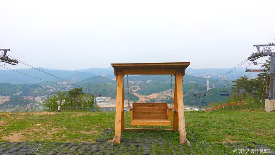 알펜시아 알파인코스터 이미지 4