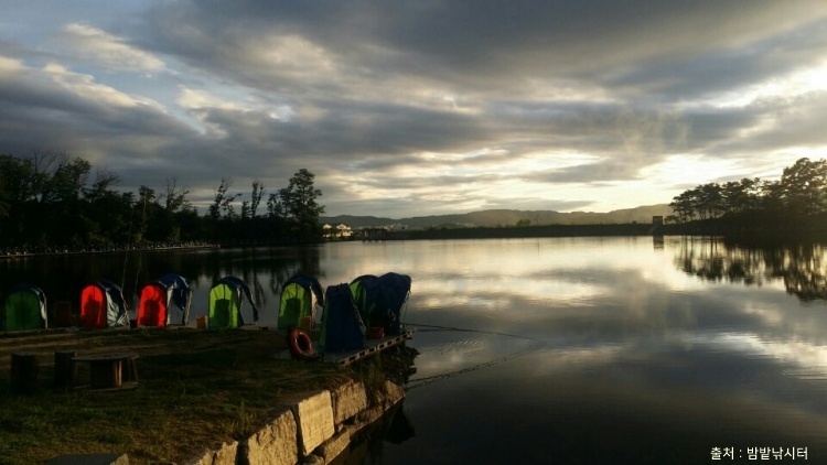 밤밭낚시터 이미지 3