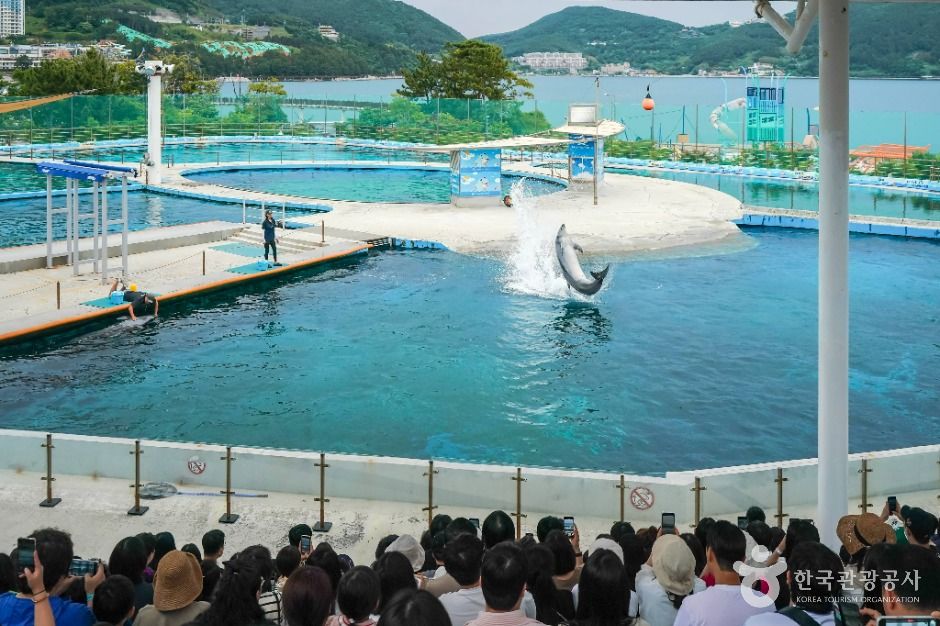 거제씨월드 이미지 2