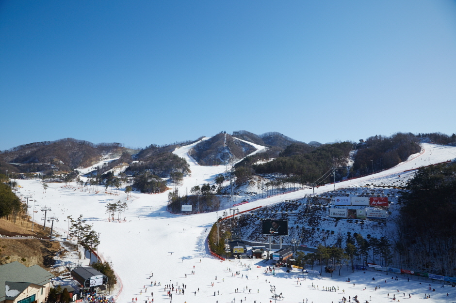 오크밸리스키장 이미지 5