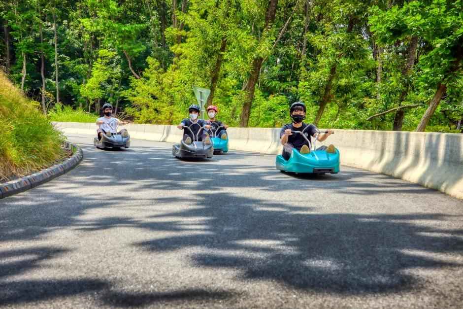 블랙스톤벨포레리조트익스트림루지 이미지 5