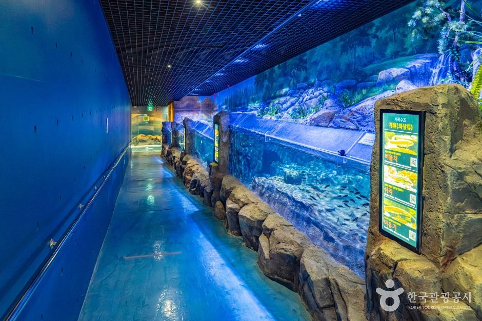 섬진강어류생태관 이미지 5