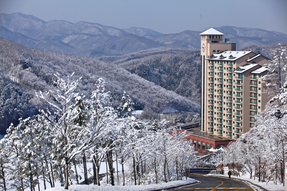 오크밸리스키장 이미지 2