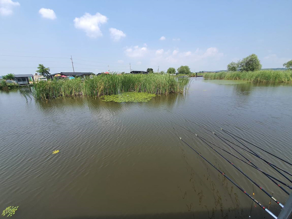 노진낚시터 이미지 3