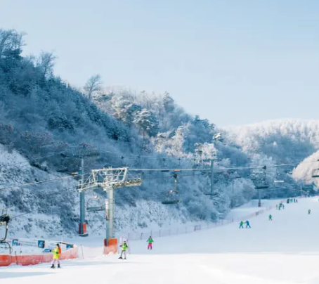 엘리시안 강촌 스키장 이미지 2