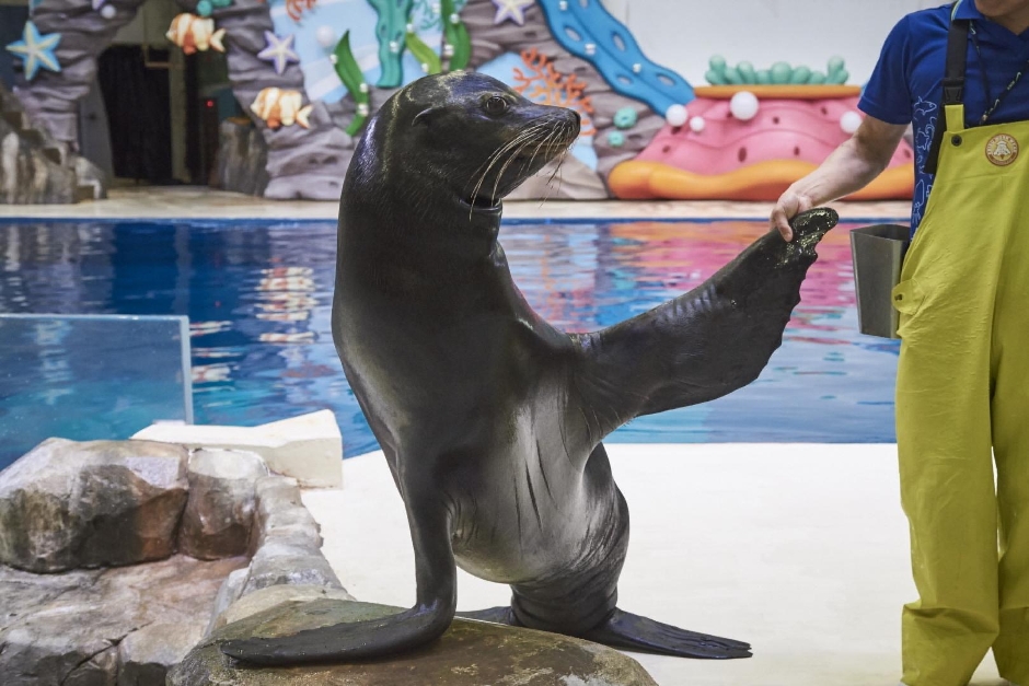 아쿠아플라넷 제주 이미지 7