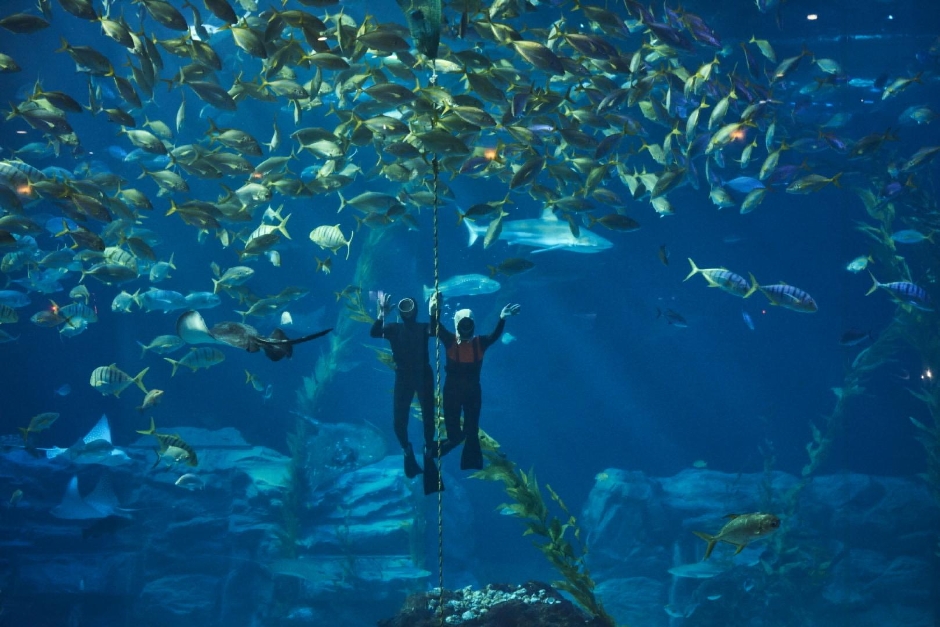 아쿠아플라넷 제주 이미지 3