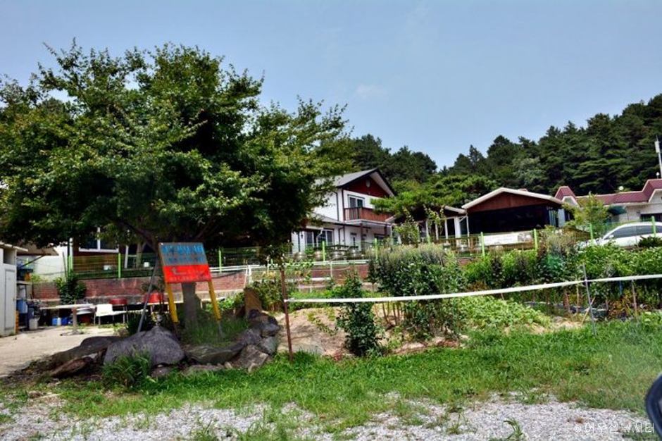 어우실낚시터 이미지 3