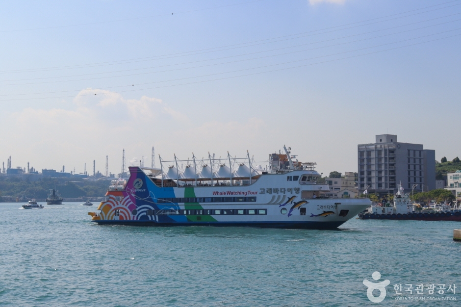장생포 고래바다여행선 이미지 4