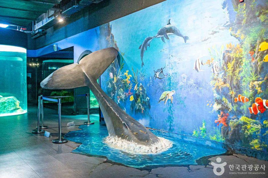 울진아쿠아리움 이미지 3