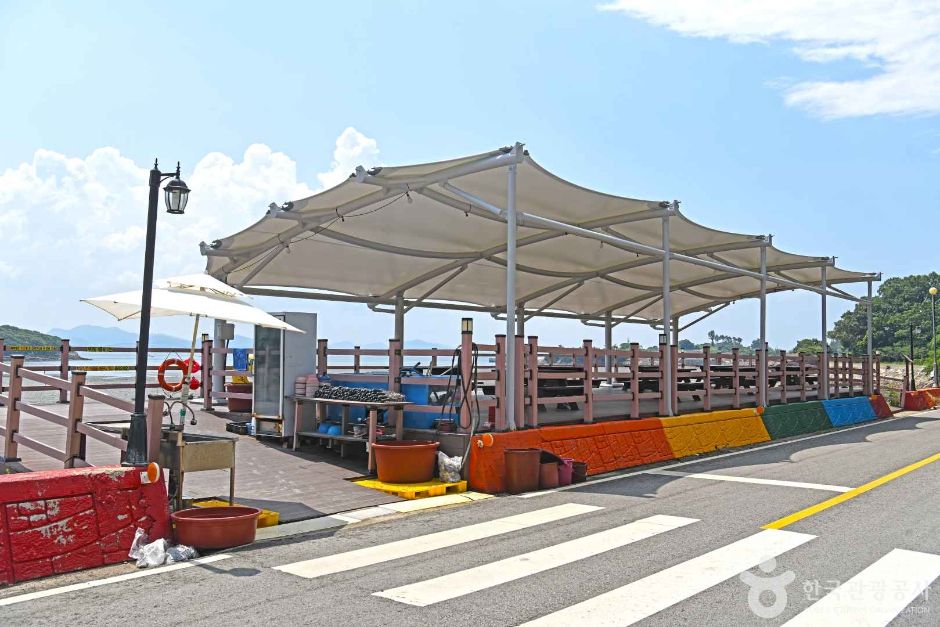 모항갯벌체험장 이미지 5