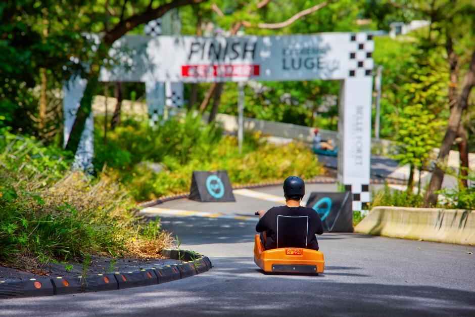 블랙스톤벨포레리조트익스트림루지 이미지 6