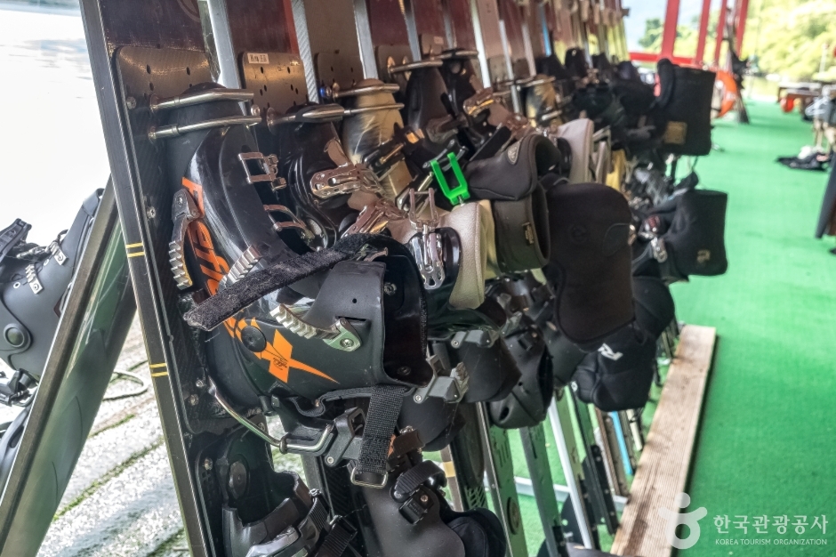 빅베어워터스키팀 인 워터랜드춘천 이미지 10