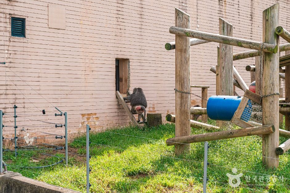 전주동물원 이미지 6