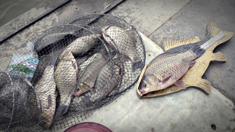 용담낚시터 이미지 2