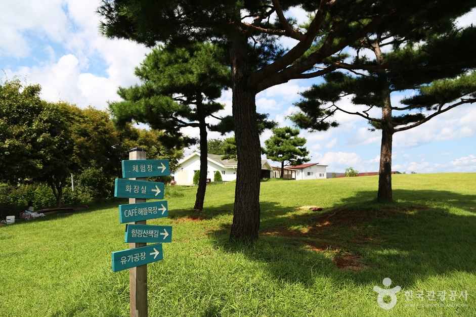 하동 해뜰목장 이미지 5