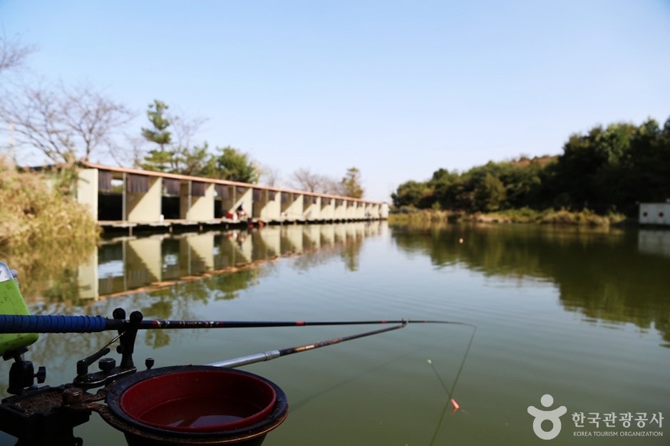 당골낚시터 이미지 4